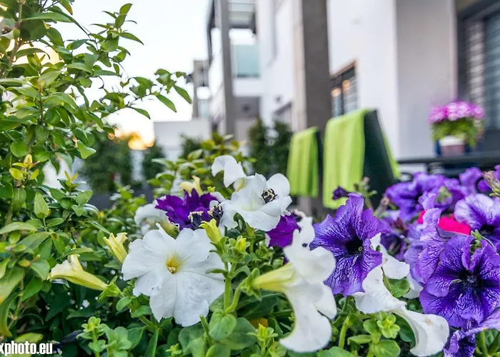 Eluxuria Sunny Apartment *